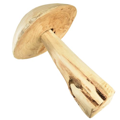 Floristik24 Socha houby z přírodního jilmového dřeva - Rustikální design, 37 cm - Stylová dekorace do zahrady a interiéru