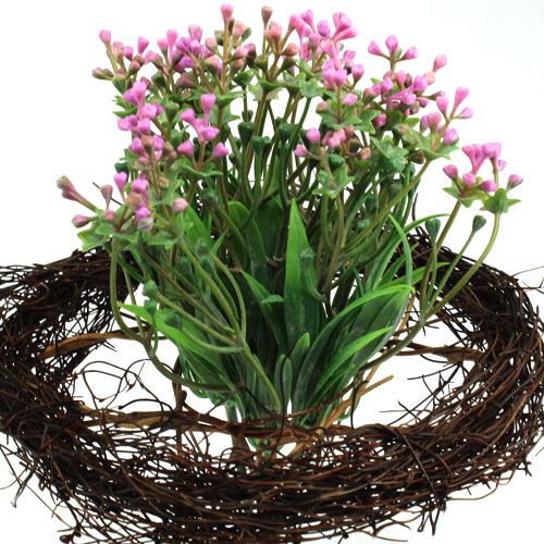 Floristik24 Manžety révy Ø20cm 10 ks