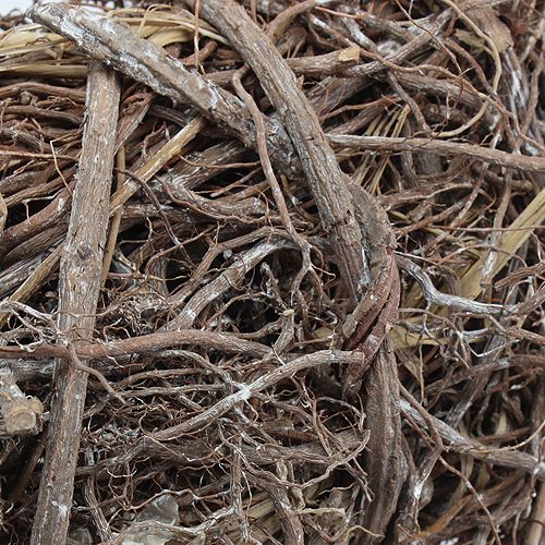 Floristik24 Vinný věnec Ø 40cm