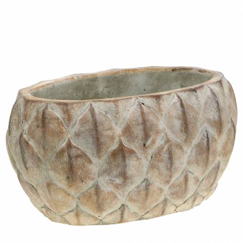 Floristik24 Oválný motiv listů betonového květináče 23 cm