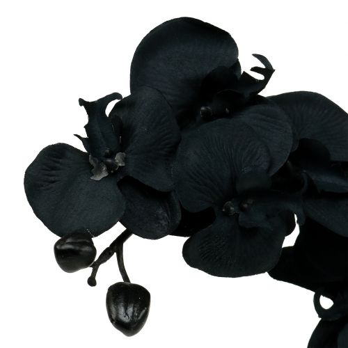 položky Orchidej na ozdobu Černá 54cm