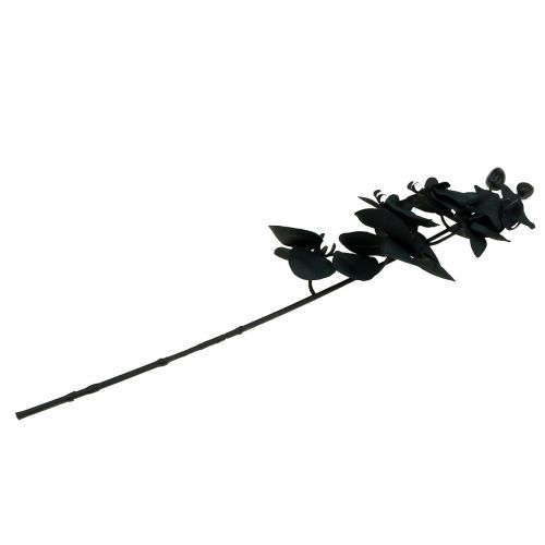 položky Orchidej na ozdobu Černá 54cm