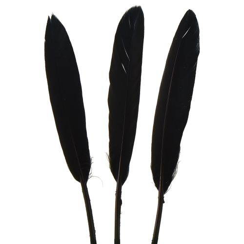 položky Černé peří Dekorativní Husí peří Černé 11-14cm 180 ks