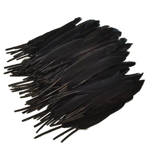 položky Černé peří Dekorativní Husí peří Černé 11-14cm 180 ks