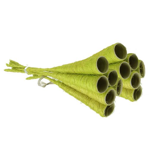 Floristik24 Sisalový trychtýř světle zelený Ø3cm L30cm 12ks