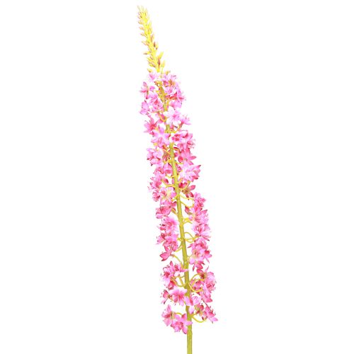 položky Stepová svíčka Desert Tail Pink 106cm