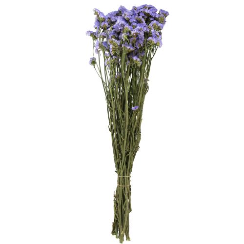 Floristik24 Mořský šeřík fialový Statice Limonium sinuatum Sušené květiny 60cm 50g