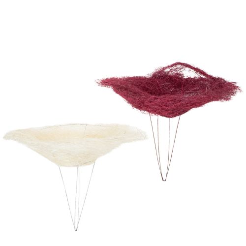 Floristik24 Kytice límců, květinový doplněk pro kreativní květinové aranžmá, 20 cm, 8 kusů