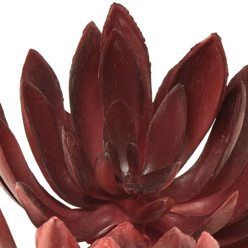 Floristik24 Sukulentní Echeveria umělé zelené rostliny červené Ø12cm 19,5cm