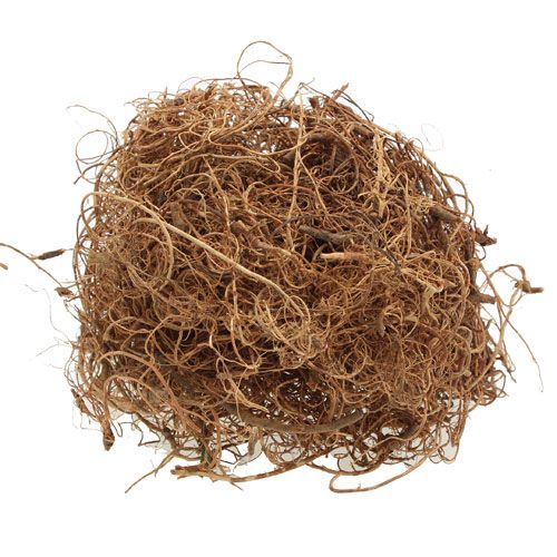 Floristik24 Deko vlákno Tamarind Fiber Natur rukodělný materiál přírodní vlákno 500g