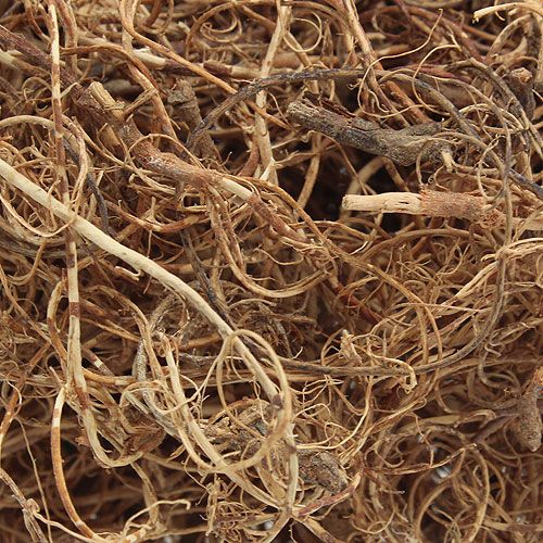 Floristik24 Deko vlákno Tamarind Fiber Natur rukodělný materiál přírodní vlákno 500g