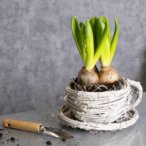 položky Šálek z přírodního materiálu s rustikálním šarmem pro exkluzivní interiérovou dekoraci 13 cm