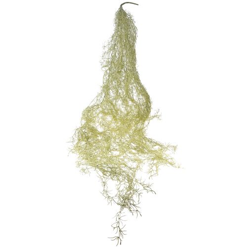 položky Tillandsia dekorační závěs Tillandsia umělá zelená bílá 180cm