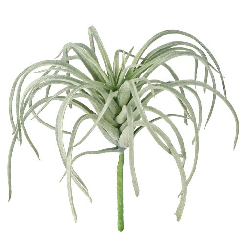 Tillandsia sukulentní umělé zelené rostliny 13cm