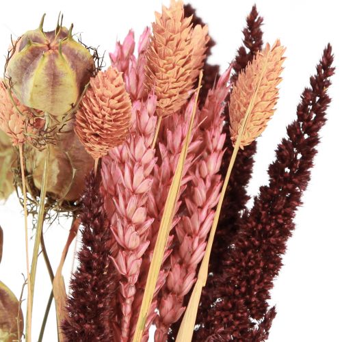 Floristik24 Sušená kytice zrna Nigella růžová oranžová 50cm