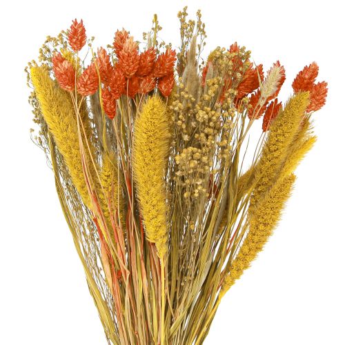 Floristik24 Kytice ze sušených květin se zrnem oranžově žlutá 50cm