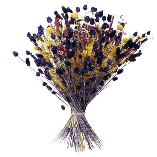 položky Suchá kytice žlutá fialová zelená craspedia eukalyptus 53cm 150g