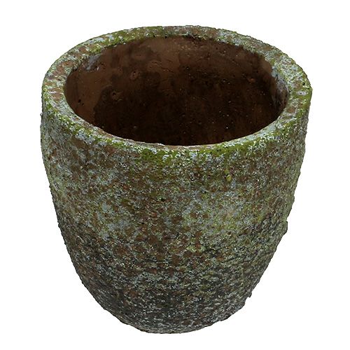 Floristik24 Květináč s mechem Ø16cm V16cm 1ks