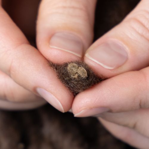 položky Nadýchaná vlněná šňůra Mirabell, hnědá, 25m, dekorativní stuha pro květinářství a tvoření