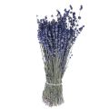 Floristik24 Sušená levandule Svazek sušených květů modrý 25cm 75g