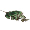 Floristik24 Begonia Umělé rostliny Listové Begonie Zelenofialové 62cm
