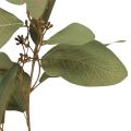 Floristik24 Eukalyptová větev umělá dekorativní větvička zelená 60cm