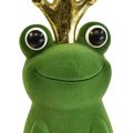 Floristik24 Ozdobná žába, žabí princ, jarní dekorace, žába se zlatou korunkou zelená 40,5cm