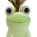 Floristik24 Ozdobná žába, žabí princ, jarní dekorace, žába se zlatou korunkou světle zelená 40,5cm
