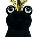 Floristik24 Ozdobná žába, žabí princ, jarní dekorace, žába se zlatou korunkou černá 40,5cm