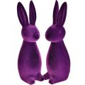 Floristik24 Velikonoční zajíčci seskupení ozdobné figurky Velikonoční fialová 8x10x29cm 2ks