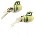 Floristik24 Ptáček z peří na drátě dekorativní ptáček s peřím zelený oranžový 4cm 12ks