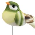 Floristik24 Ptáček z peří na drátě dekorativní ptáček s peřím zelený oranžový 4cm 12ks