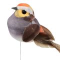 Floristik24 Péřový ptáček na drátě ozdobný ptáček s peřím šedý 4cm 12ks