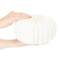 Papírový kroužek s voštinovou dýní, kulatý, velký, na sušené květiny a podzimní dekoraci 24cm, 4 ks | Floristik24.cz