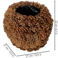 Dekorativní květináč s borovými šiškami, přírodní vzhled, 27 cm. Kulatý květináč z borových šišek, přírodní hnědý, vyrobený z borových šišek, 27 cm x 22 cm. | Floristik24.cz