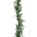 Floristik24 Umělá eukalyptová girlanda dekorativní girlanda zelená 150cm
