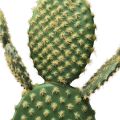 Floristik24 Dekorativní kaktusová umělá hrnková rostlina opuncie 64cm