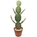 Floristik24 Dekorativní kaktusová umělá hrnková rostlina opuncie 64cm