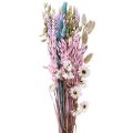 Floristik24 Sušená kytice slámových květů Phalaris grain 58cm