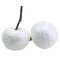 Floristik24 Dekorativní jablka bílá se třpytem 5,5–6,5 cm 12ks