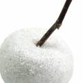 Floristik24 Dekorativní jablka bílá se třpytem 5,5–6,5 cm 12ks