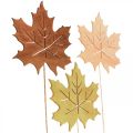 Floristik24 Podzimní zahradní kůl javorový list dřevo Š9,5cm D31cm 12ks