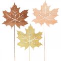 Floristik24 Podzimní zahradní kůl javorový list dřevo Š9,5cm D31cm 12ks