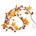 Floristik24 Podzimní girlanda s javorovými listy a oranžovými šiškami 1,28m