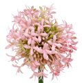 Floristik24 Allium umělá růžová 51cm