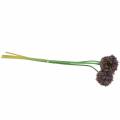 Floristik24 Cibulačka okrasná Allium umělá fialová Ø7cm V58cm 4ks