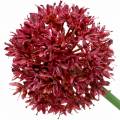Floristik24 Cibule okrasná Allium umělá nafialovělá Ø7cm V58cm 4ks