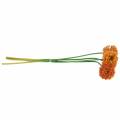 Floristik24 Cibule okrasná Allium umělá pomeranč Ø7cm V58cm 4ks