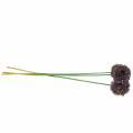 Floristik24 Cibule okrasná Allium umělý šeřík 70cm 3ks