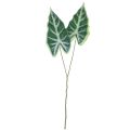 Floristik24 Alocasia Elephant Ear Arrow List umělé rostliny zelené 55cm